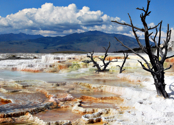 Yellowstone national Park