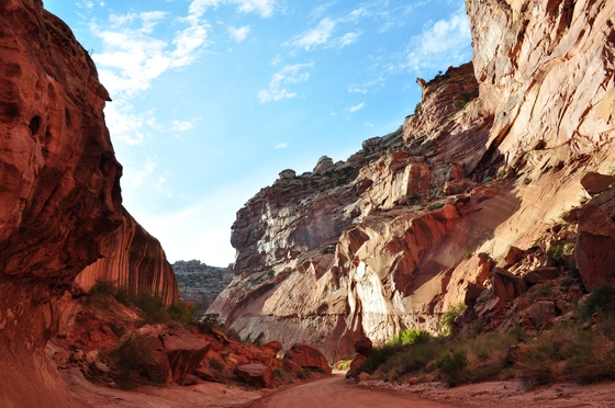 Capitol Reef National Park