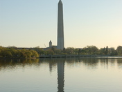 Reflection on Tidal Basin