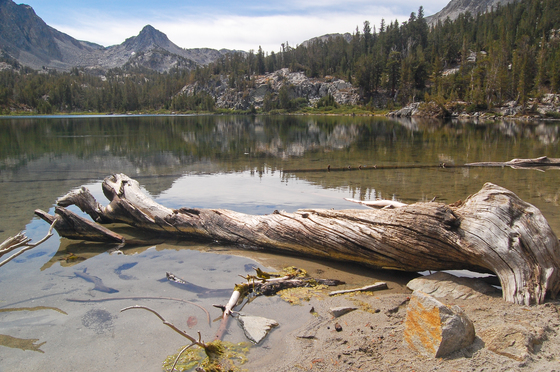 John Muir Wilderness
