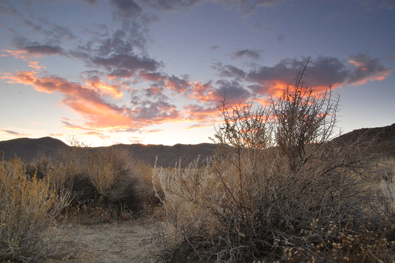 Piper Mountain WIlderness
