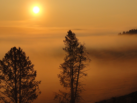 Yellowstone