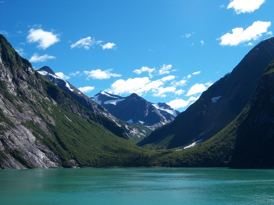 Tongass Naional forest