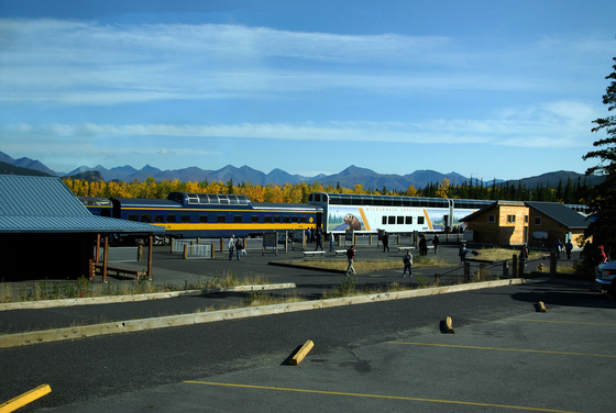 denali national park