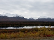 Denali National Park