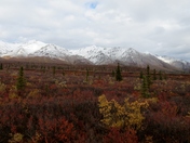 Denali National Park
