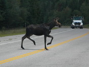 White Mountains National Forest