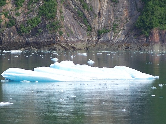 Glacier Bay