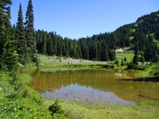 Mount Rainier National Park