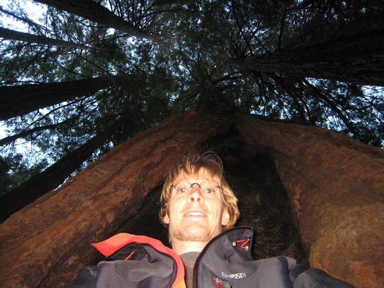 Muir Woods