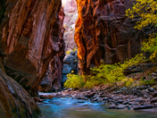 Zion National Park