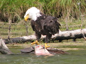Kenai Fjords National Park, Alaska
