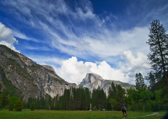 Yosemite National Park