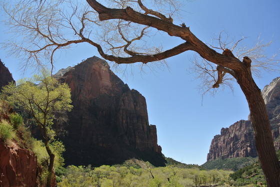 Zion National Park