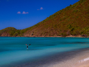 Virgin Islands National Park
