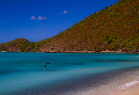Virgin Islands National Park