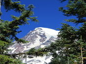 Mt. Rainier National Park