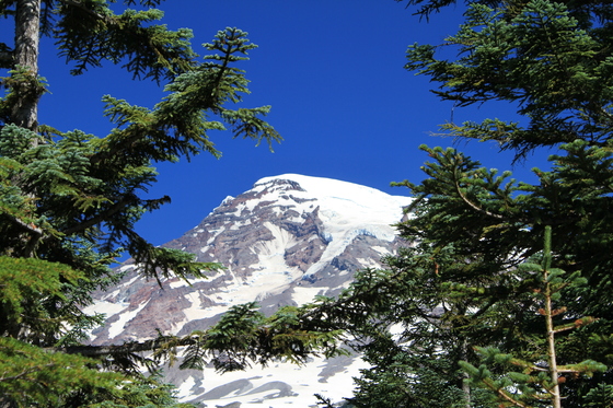 Mt. Rainier National Park