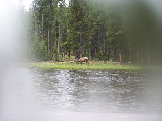 Yellowstone Parl