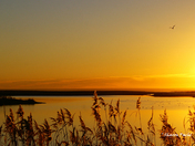 Medicine Lake National Wildlife Refuge