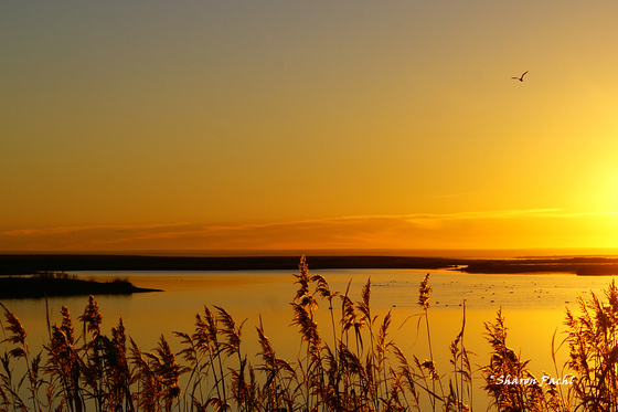 Medicine Lake National Wildlife Refuge