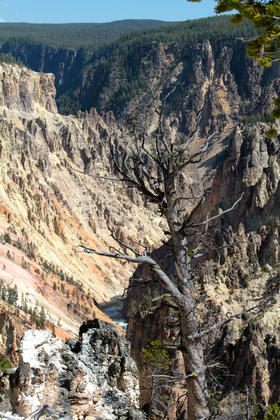 Yellowstone National Park