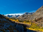 Inyo National Forest