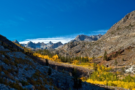 Inyo National Forest