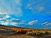 BLM-Mono County/Toiyabe National Forest