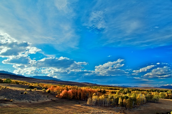 BLM-Mono County/Toiyabe National Forest