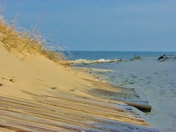 Backbay National Wildlife Refuge