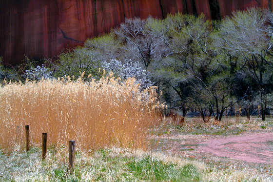 Capital Reef