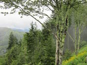 Cherokee National Park