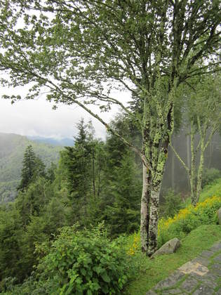 Cherokee National Park