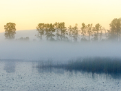 Sunrise and Fog Over Pitt Marsh