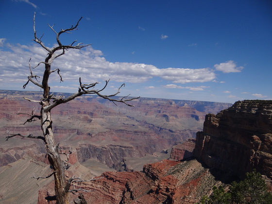The Grand Canyon National Park