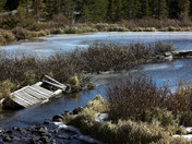 White River National Forest