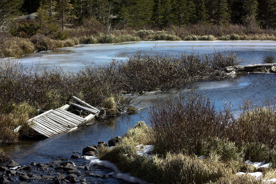 White River National Forest