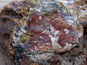 Petrified Forest National Park