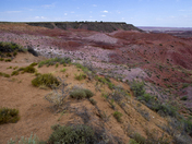 The Painted Desert National Park