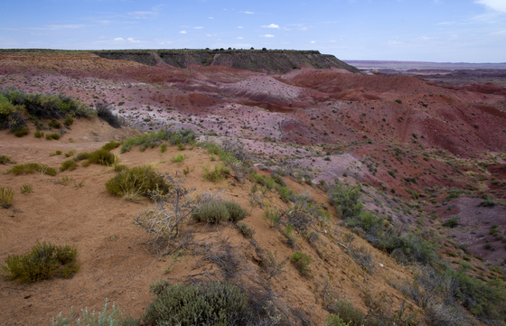 The Painted Desert National Park