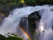 Olympic NPS  Washington State