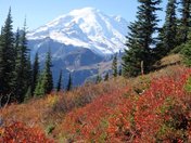 Mount Rainier National Park