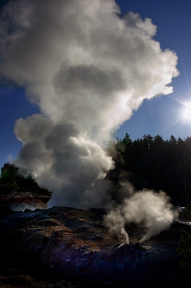yellowstone NP