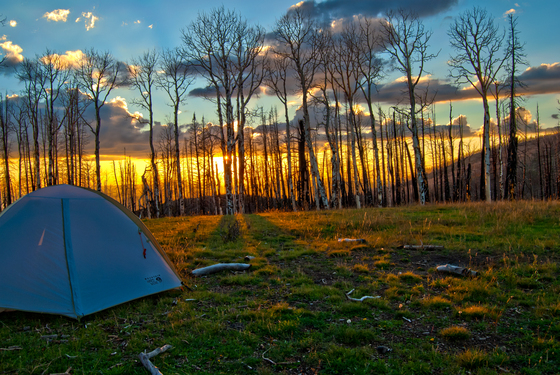 Fishlake National Forest