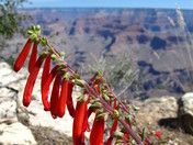 Grand Canyon National Park