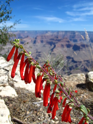 Grand Canyon National Park