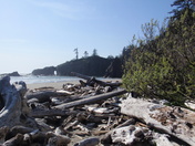 Olympic National Park