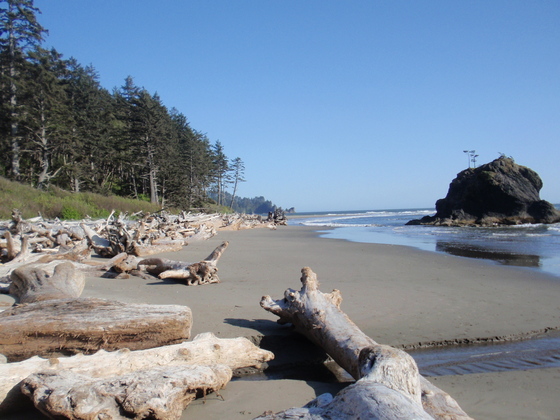 Olympic National Park