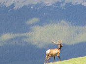 Rocky Mountain National Park